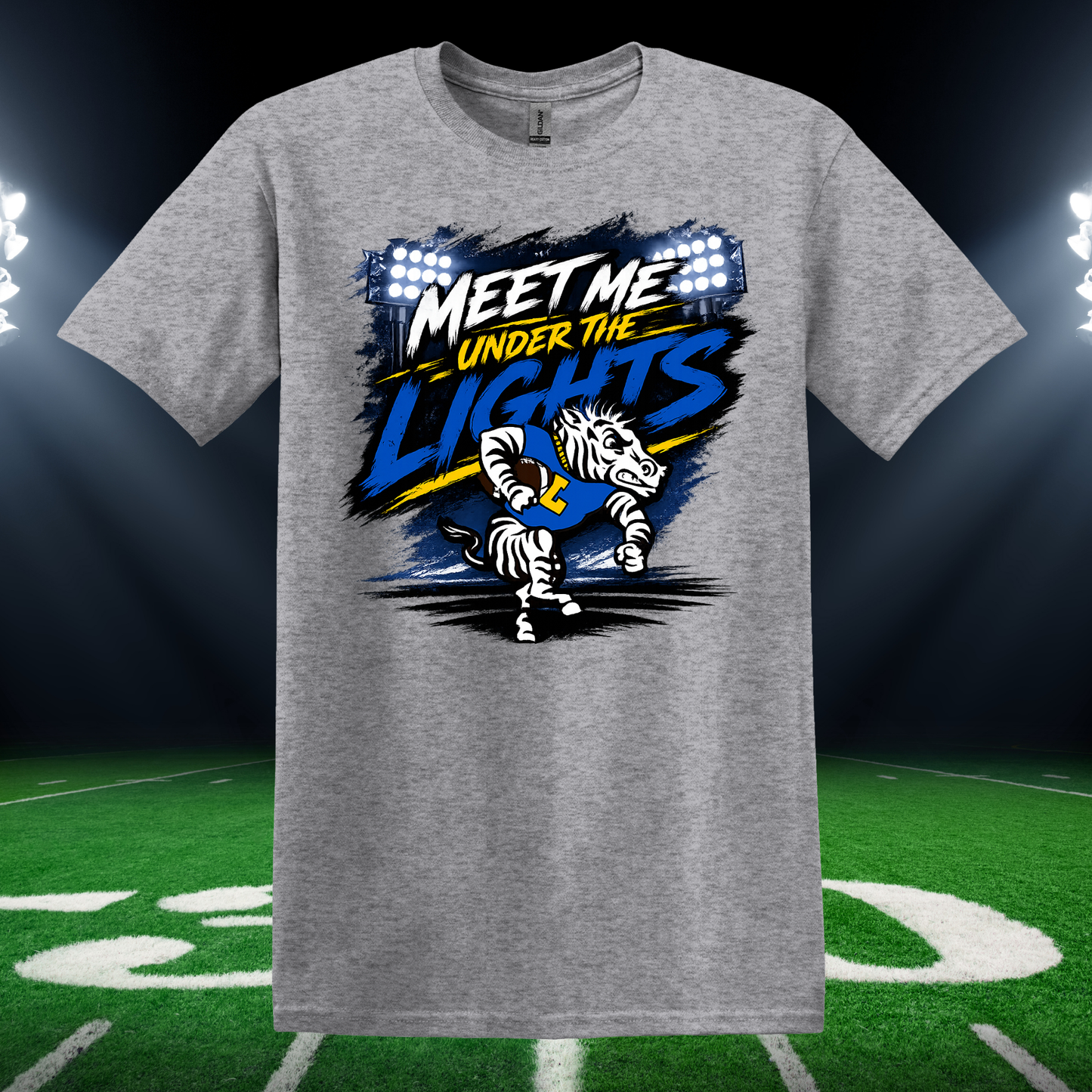 Lincoln Zebra Tees and Tanks- Meet me