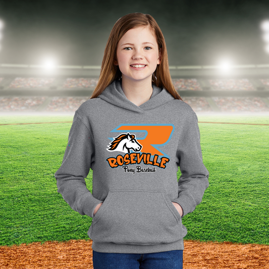 Roseville Pony Baseball Youth & Toddler Fleece Pullover - Dirty Birds